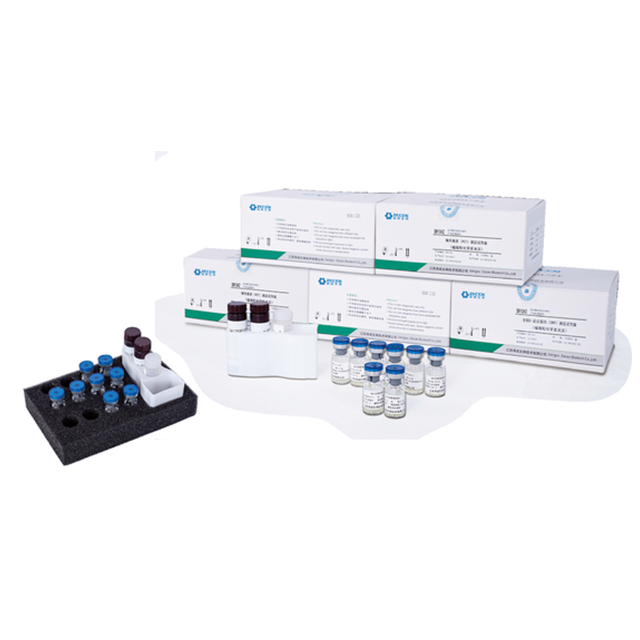Immunoassay-Testkit ESTRADIOL E2 für den automatischen Immunoassay-Analysator für Fruchtbarkeit/Hormon