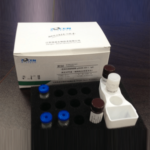 N-terminaler Pro-Brain-Natriuretischer Peptid-Diagnosetest für Herzmarker NT-proBNP Automatisierter Immunoassay-Analysator