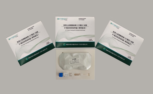 E7-Protein-Selbsttest-Kit für den Heimgebrauch, kolloidales Gold, klinische E7-Onkoprotein-Testkarte für Gebärmutterhalskrebs