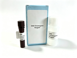 Chromogenes Reagenz DAB