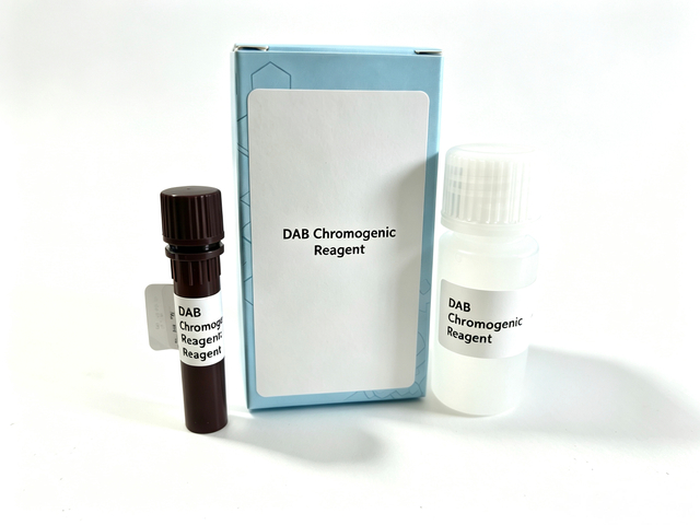 Chromogenes Reagenz DAB