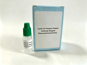 Cyclin D1 Protein ProteinAntikörperreagenz (Immunhistochemie)