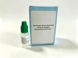 Cytokeratin (Breitspektrum)Antikörperreagenz (Immunhistochemie)