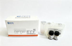 CEA Karzinoembryonale Antigen-Nachweiskits CLIA 