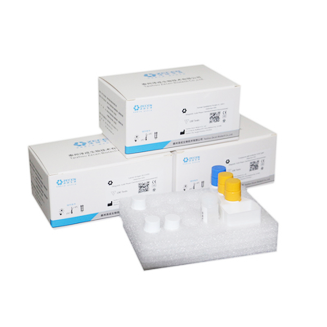 Technische Architektur des CLIA-Diagnosereagenzes